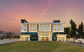 Redolence Aravali Tree